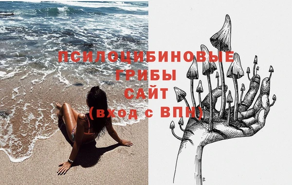 гидропоника Верея