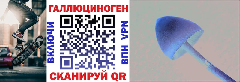 Псилоцибиновые грибы Magic Shrooms  Купить  Тосно 